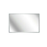 RECTAL MIRROR